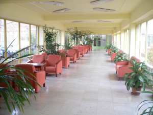 lazne-bohdanec-pavilon-vesely-2.jpg