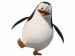 Private-Wallpaper-penguins-of-madagascar-7408353-1024-768